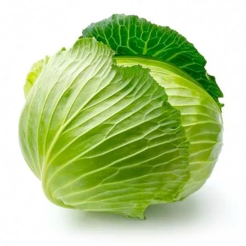 Cabbage (पत्ता गोभी)